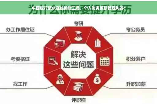 中国银行流水在线编辑工具，个人财务便捷管理利器！