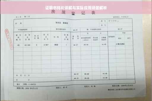证明书样片详解与实际应用场景解析