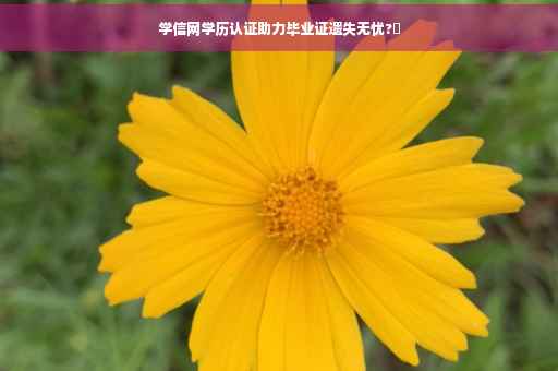 学信网学历认证助力毕业证遗失无忧?✨