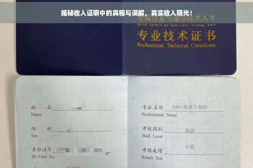 揭秘收入证明中的真相与误解，真实收入曝光！