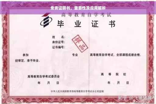 免责证明书，重要性及应用解析