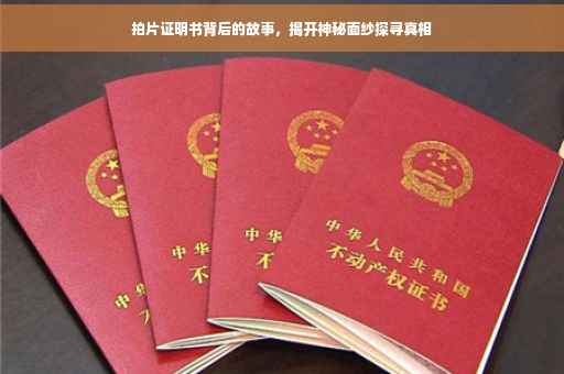 拍片证明书背后的故事，揭开神秘面纱探寻真相