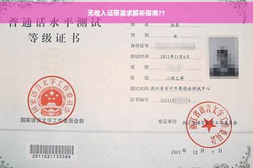 无收入证明需求解析指南??