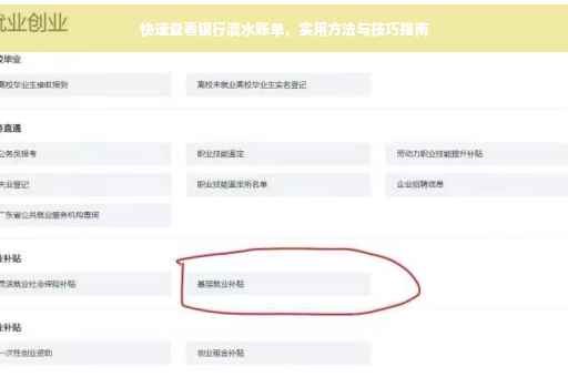 快速查看银行流水账单，实用方法与技巧指南