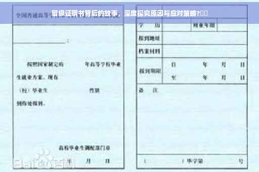 留级证明书背后的故事，深度探究原因与应对策略?⚡️