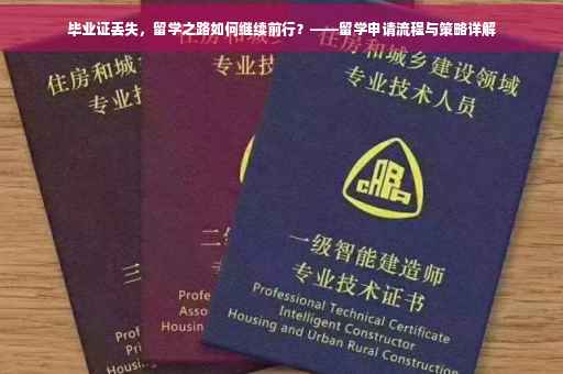 毕业证丢失，留学之路如何继续前行？——留学申请流程与策略详解