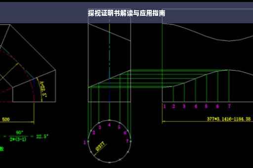 探视证明书解读与应用指南
