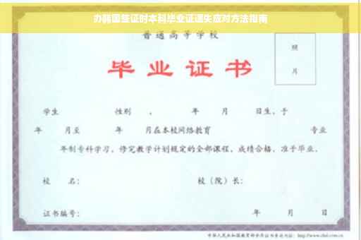 办韩国签证时本科毕业证遗失应对方法指南