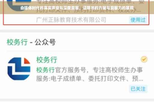 自媒体时代的真实声音与深度洞察，证明书的力量与洞察力的展现