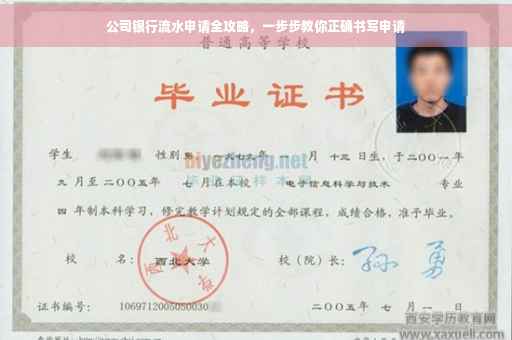 公司银行流水申请全攻略，一步步教你正确书写申请