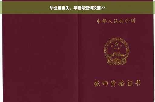 毕业证丢失，学籍号查询攻略??