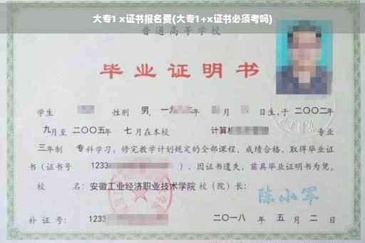 大专1 x证书报名费(大专1+x证书必须考吗)