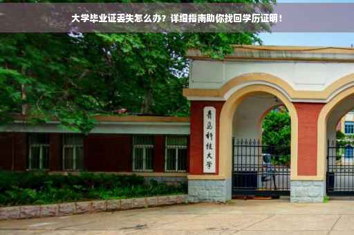 大学毕业证丢失怎么办？详细指南助你找回学历证明！