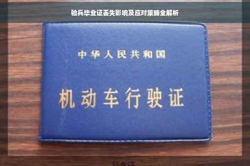 验兵毕业证丢失影响及应对策略全解析