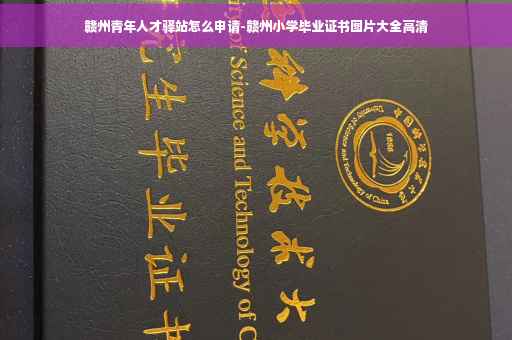 赣州青年人才驿站怎么申请-赣州小学毕业证书图片大全高清