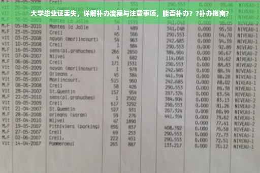 大学毕业证丢失，详解补办流程与注意事项，能否补办？?补办指南?