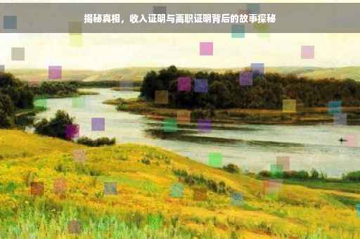 揭秘真相，收入证明与离职证明背后的故事探秘
