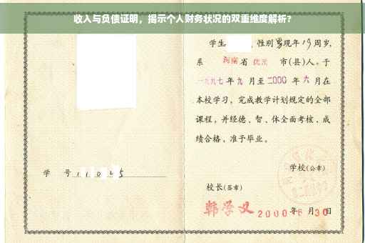 收入与负债证明，揭示个人财务状况的双重维度解析?