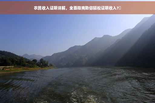 农民收入证明详解，全面指南助你轻松证明收入?✨