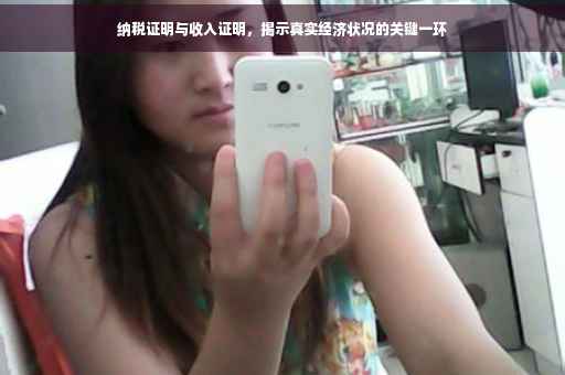 纳税证明与收入证明，揭示真实经济状况的关键一环