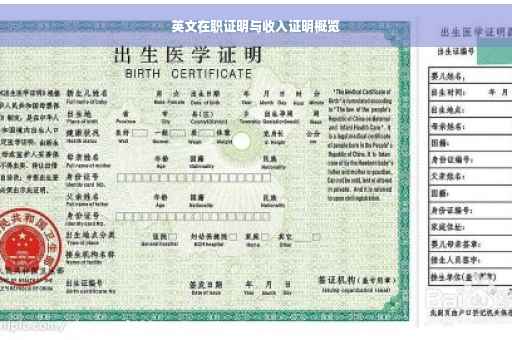 英文在职证明与收入证明概览