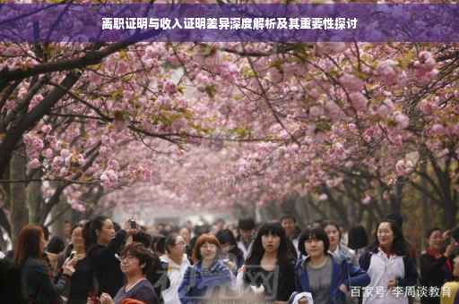 离职证明与收入证明差异深度解析及其重要性探讨