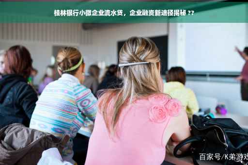 桂林银行小微企业流水贷，企业融资新途径揭秘 ??