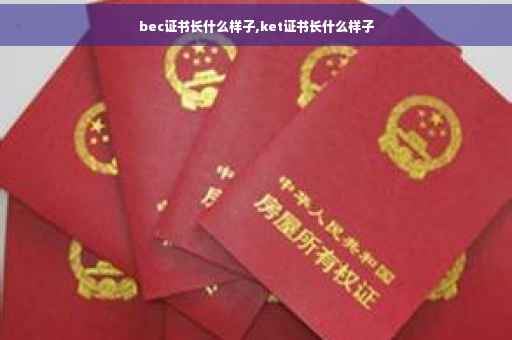 bec证书长什么样子,ket证书长什么样子