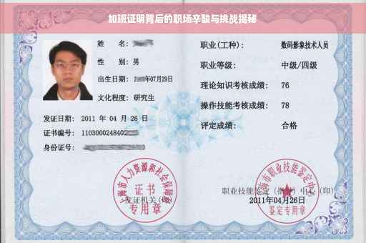 加班证明背后的职场辛酸与挑战揭秘