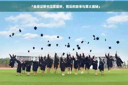 「自愿证明书深度解析，背后的故事与意义揭秘」