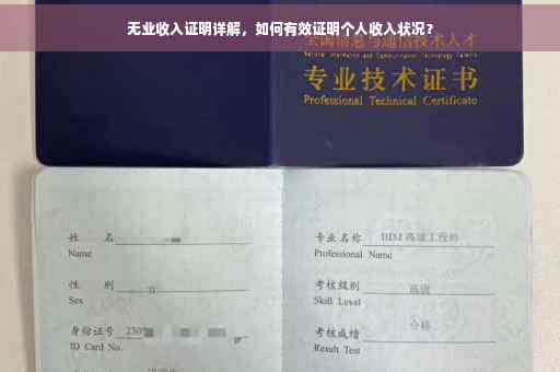 无业收入证明详解，如何有效证明个人收入状况？