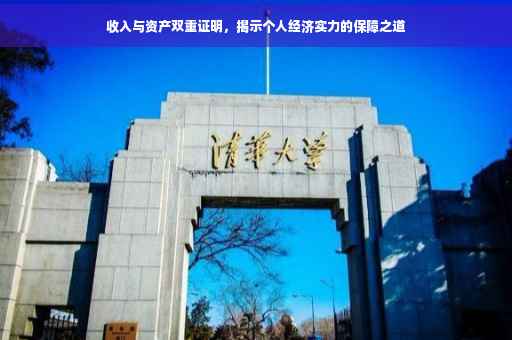 收入与资产双重证明，揭示个人经济实力的保障之道