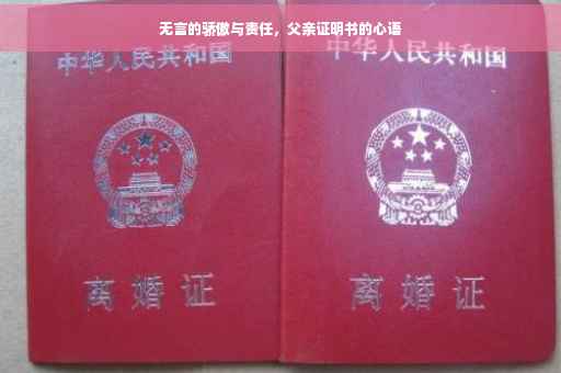 无言的骄傲与责任，父亲证明书的心语