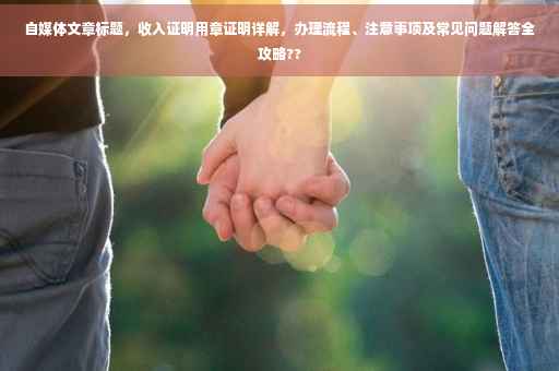 自媒体文章标题，收入证明用章证明详解，办理流程、注意事项及常见问题解答全攻略??