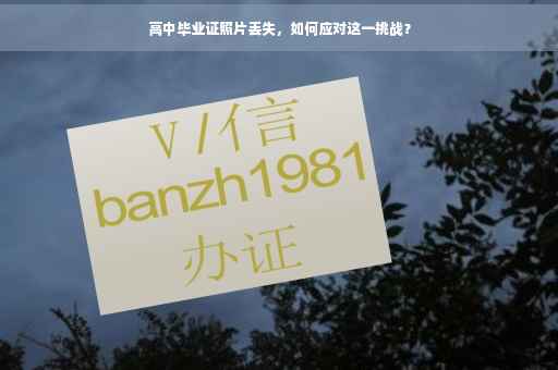 高中毕业证照片丢失，如何应对这一挑战？