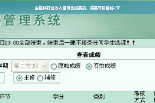 自媒体行业收入证明合缝实录，真实写照揭秘?⚡️