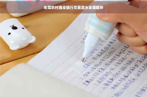 东莞农村商业银行交易流水全面解析