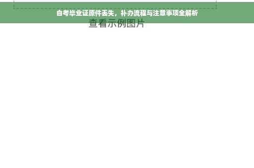 自考毕业证原件丢失，补办流程与注意事项全解析