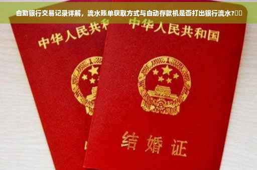 自助银行交易记录详解，流水账单获取方式与自动存款机是否打出银行流水?⚡️