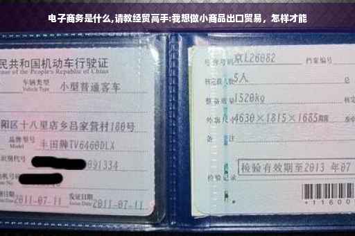 电子商务是什么,请教经贸高手:我想做小商品出口贸易，怎样才能