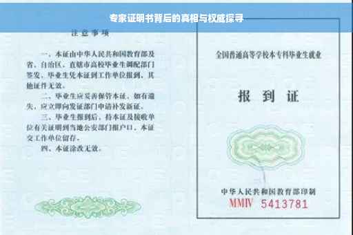专家证明书背后的真相与权威探寻