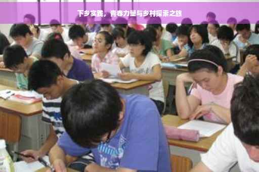 下乡实践，青春力量与乡村探索之旅