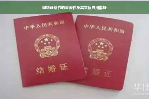 国别证明书的重要性及其实际应用解析