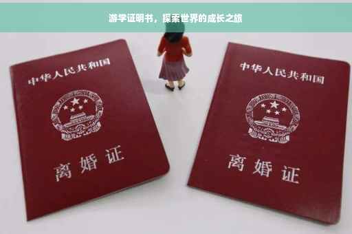 游学证明书，探索世界的成长之旅
