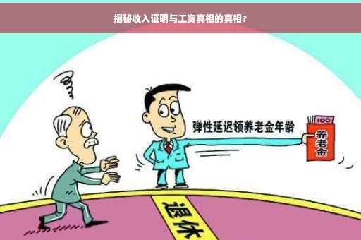 揭秘收入证明与工资真相的真相?