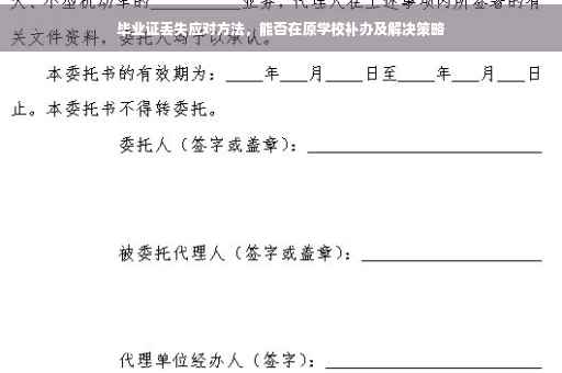 毕业证丢失应对方法，能否在原学校补办及解决策略