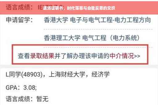 退场证明书，时代落幕与自我反思的交织