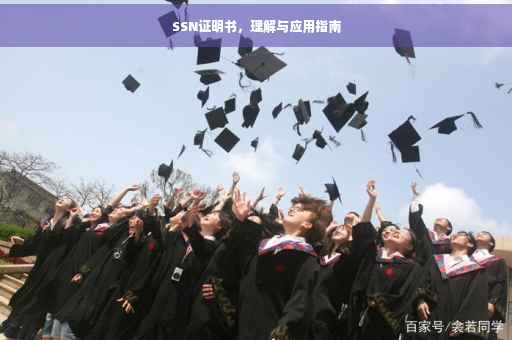 SSN证明书，理解与应用指南