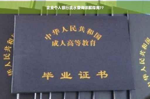 企业个人银行流水查询详解指南??
