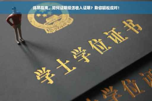 详尽指南，如何证明经济收入证明？助你轻松应对！